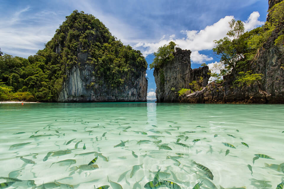 Koh Rok Nok → Koh Ha → Koh Phi Phi Leh