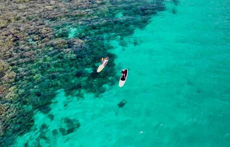 Paddle boarding at Honey Island