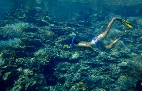 Snorkeling Ay DSC09317 – Version 2