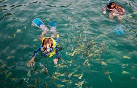 Snorkeling Kids IMG_7051_2 – Version 2