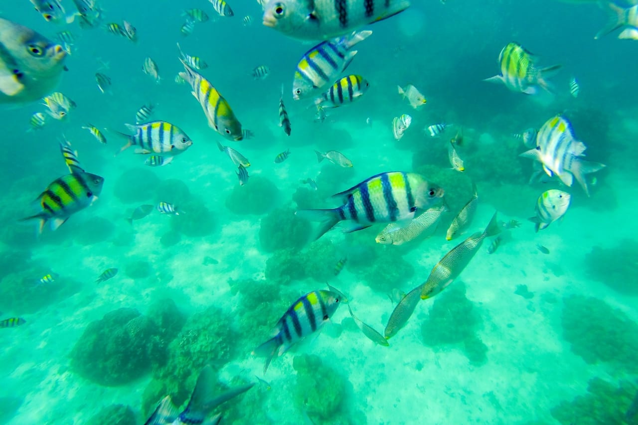 Khai Islands