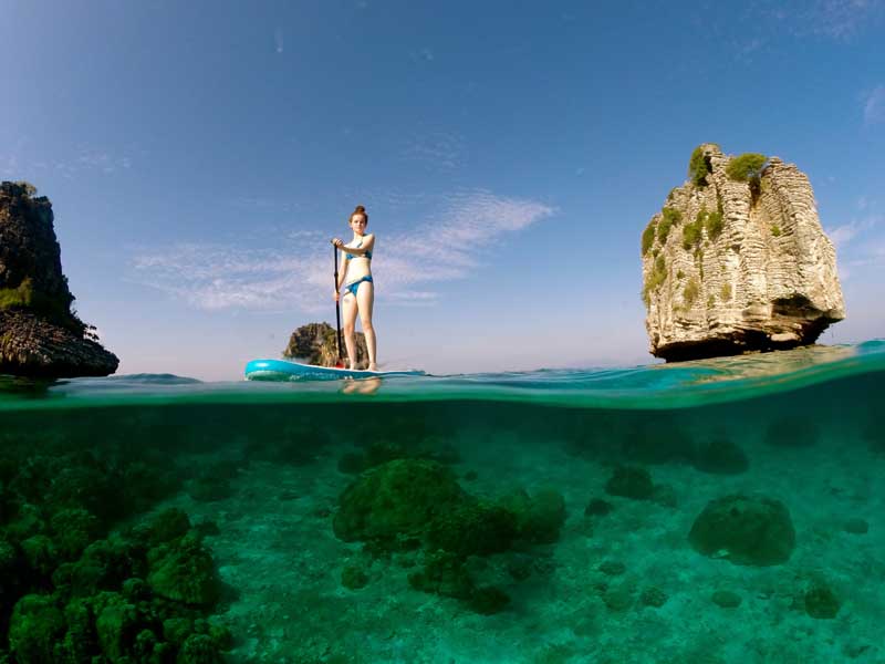 Coral reef and tropical fish near Koh Haa