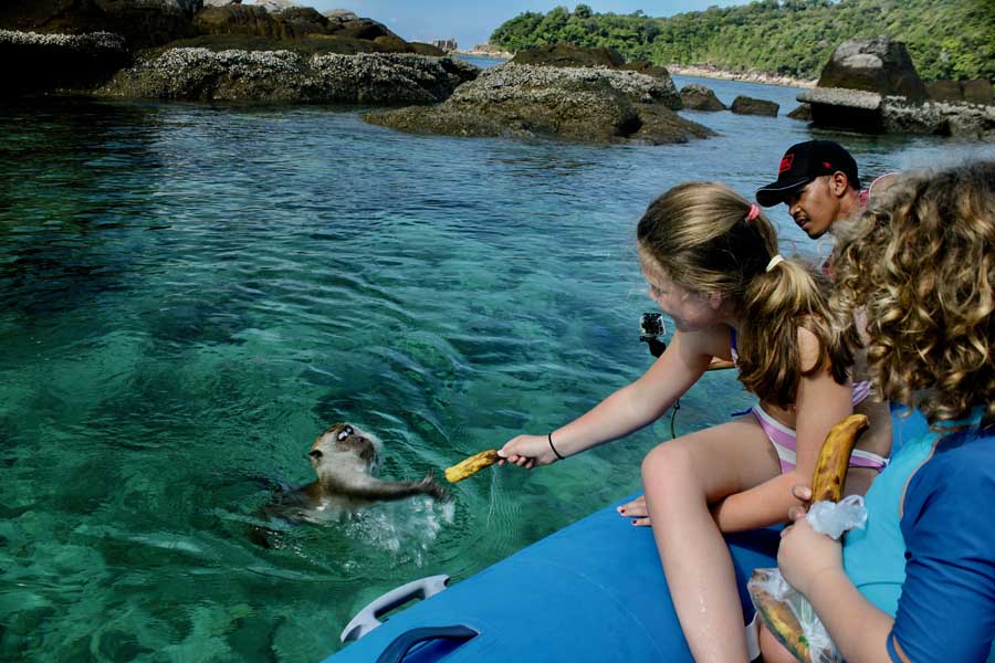 Coral reef and clear water in a marine park area like Tarutao