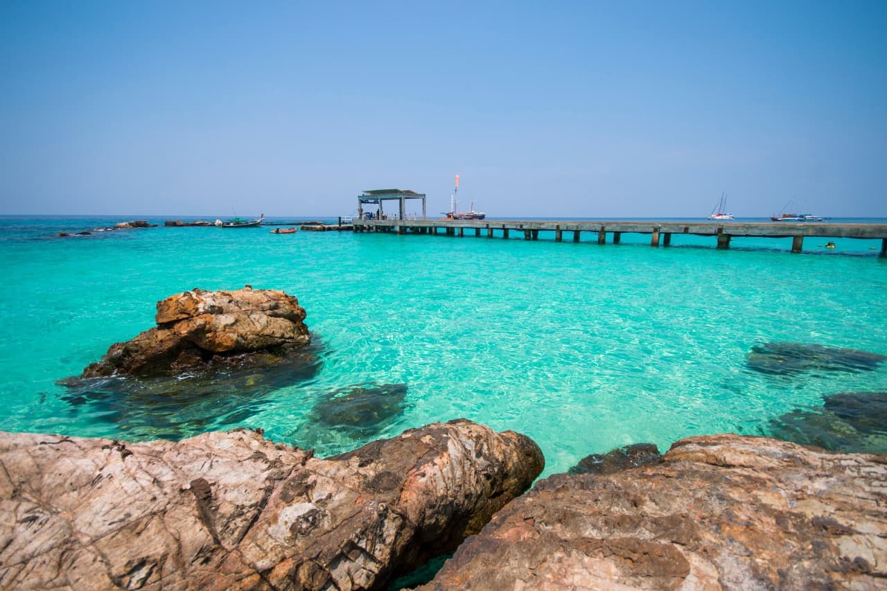 Dolphin Spotting Area