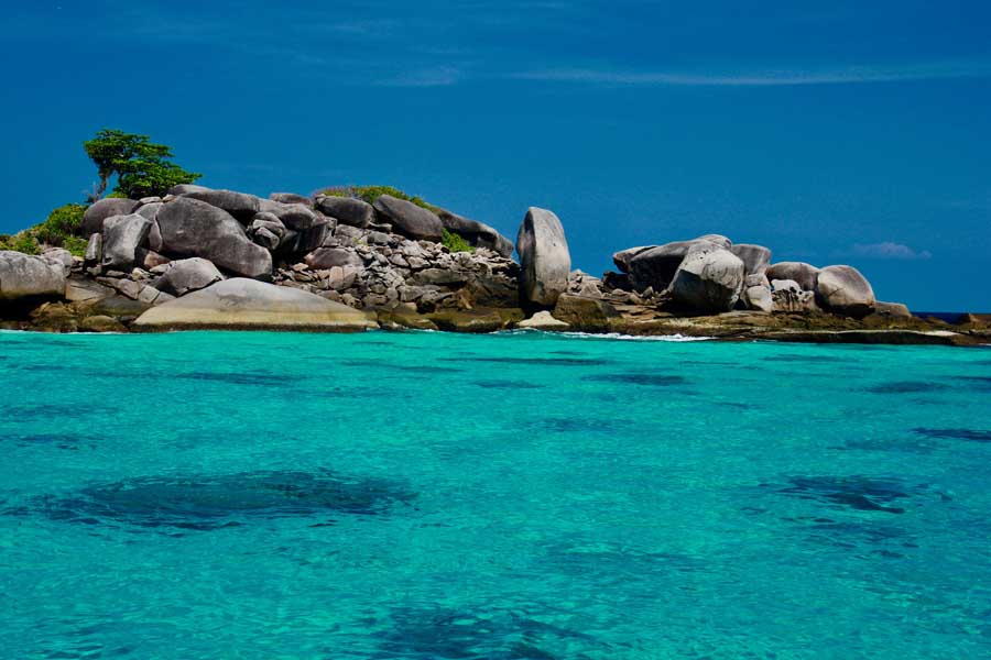 Coral reef and tropical fish near the Similan Islands