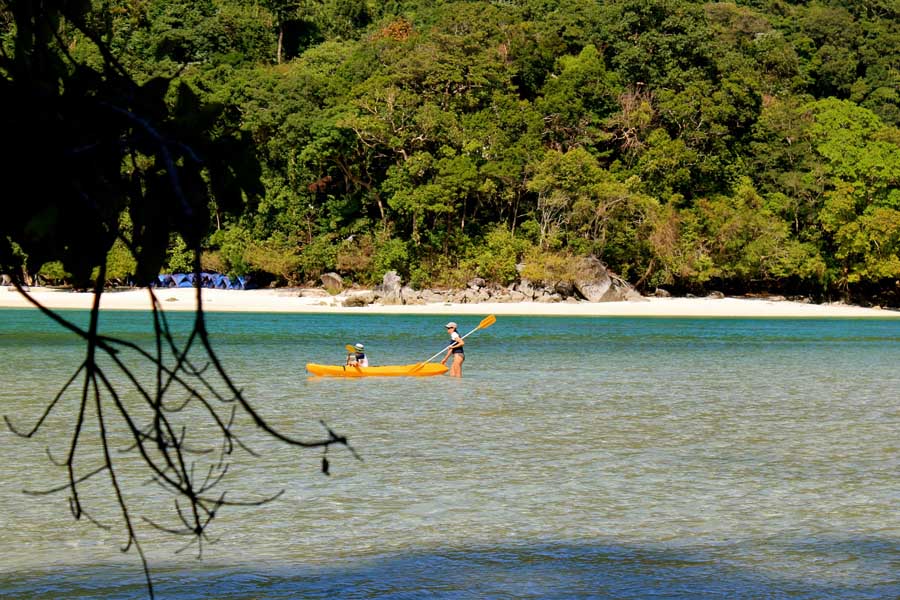 Coral reef and tropical fish around the Surin Islands