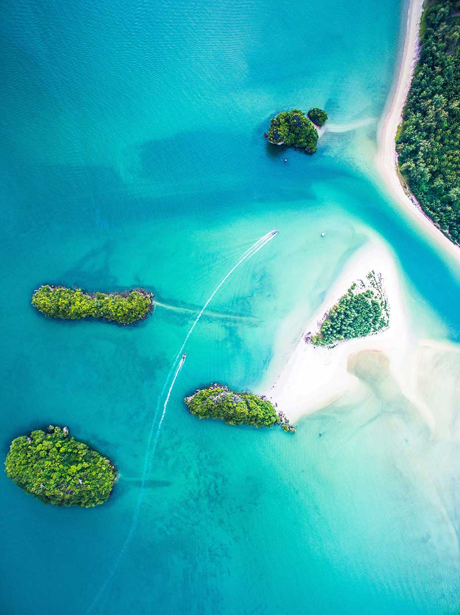 Monkey Beach